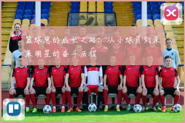 篮球崽的成长之路：从小球员到未来明星的奋斗历程