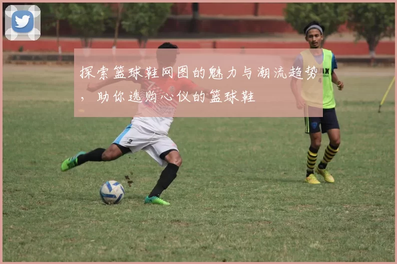 探索篮球鞋网图的魅力与潮流趋势，助你选购心仪的篮球鞋