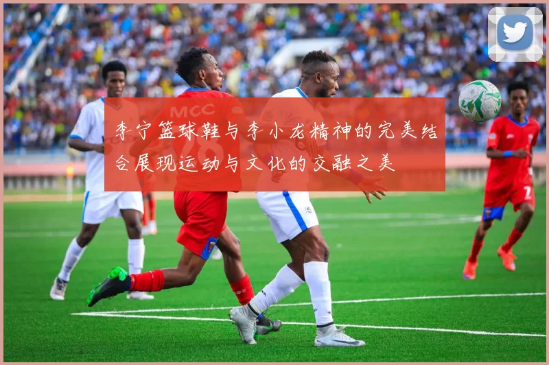 李宁篮球鞋与李小龙精神的完美结合展现运动与文化的交融之美