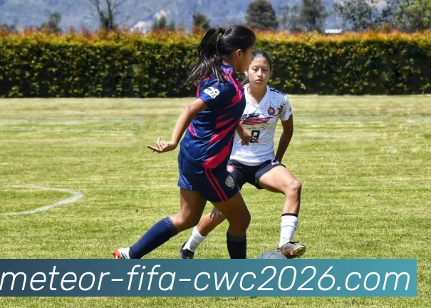 中超买球网APP 封面图